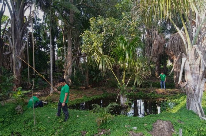 Piscigranja Albergue turístico Amazon Lodge Iquitos